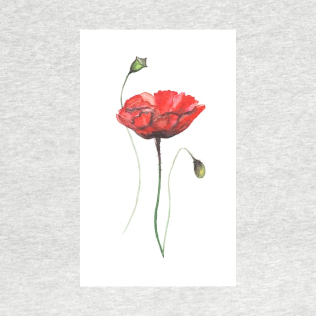 poppies, poppies flowers, watercolor flowers, red flowers, home decor, nursery by Luba_Ost